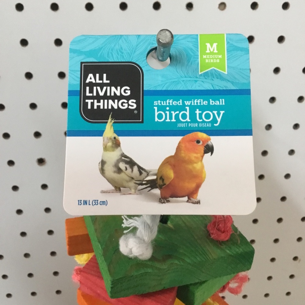 All Living Things - Picture 3 of 3